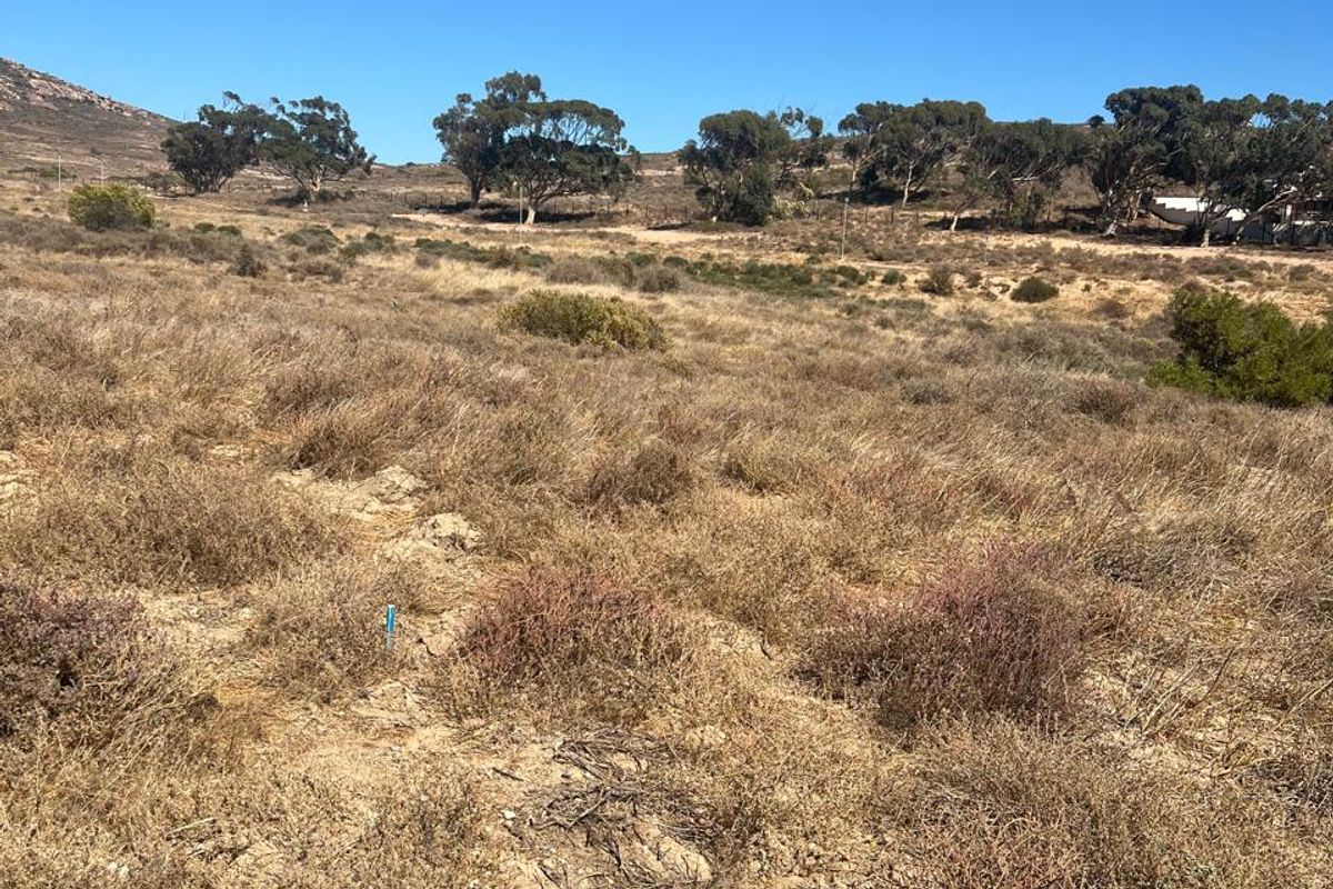 A view of the vacant residential land featuring natural vegetation and open terrain under a clear blue sky.