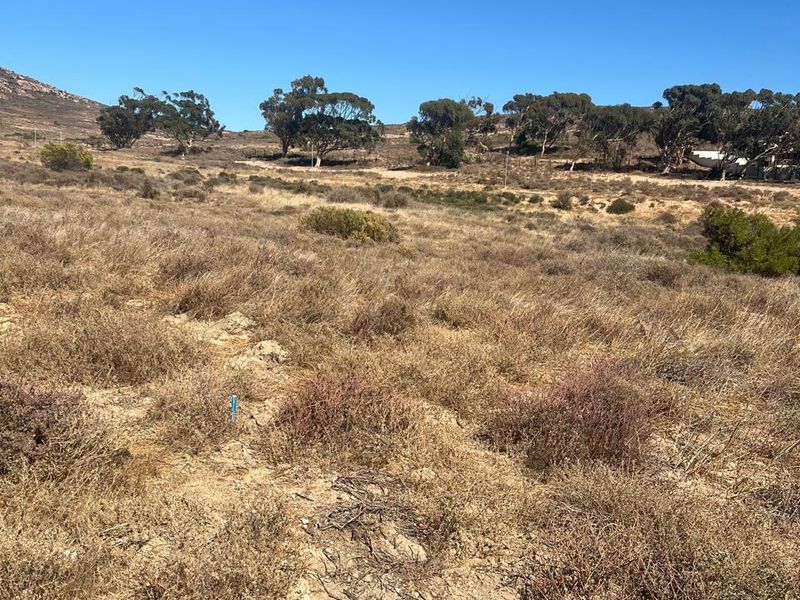 A view of the vacant residential land featuring natural vegetation and open terrain under a clear blue sky.