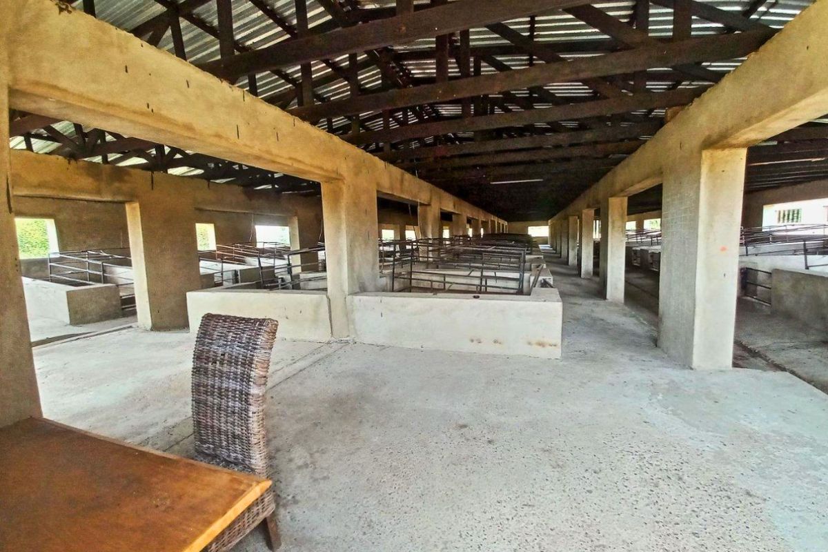 8.5ha Farm with Large-Scale Piggery - Photo 3