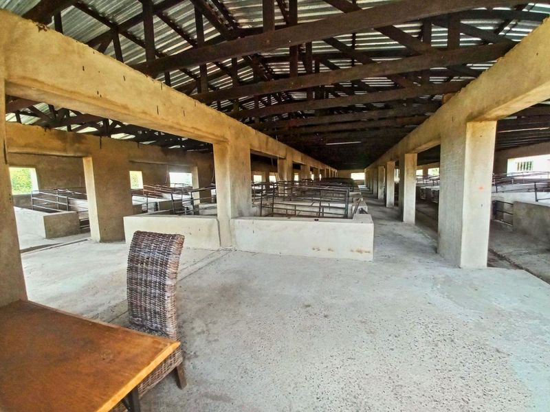 8.5ha Farm with Large-Scale Piggery - Photo 3