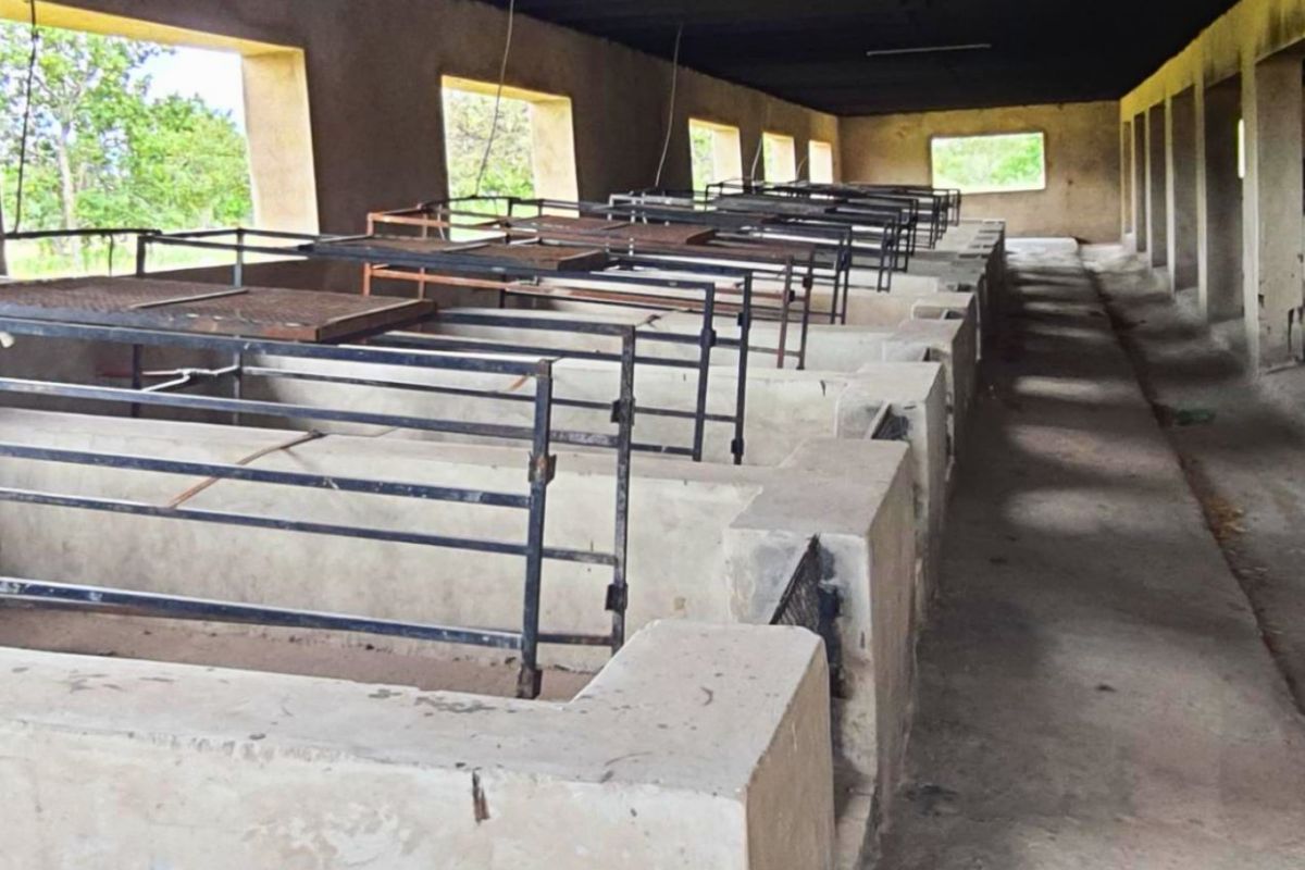 8.5ha Farm with Large-Scale Piggery - Photo 4