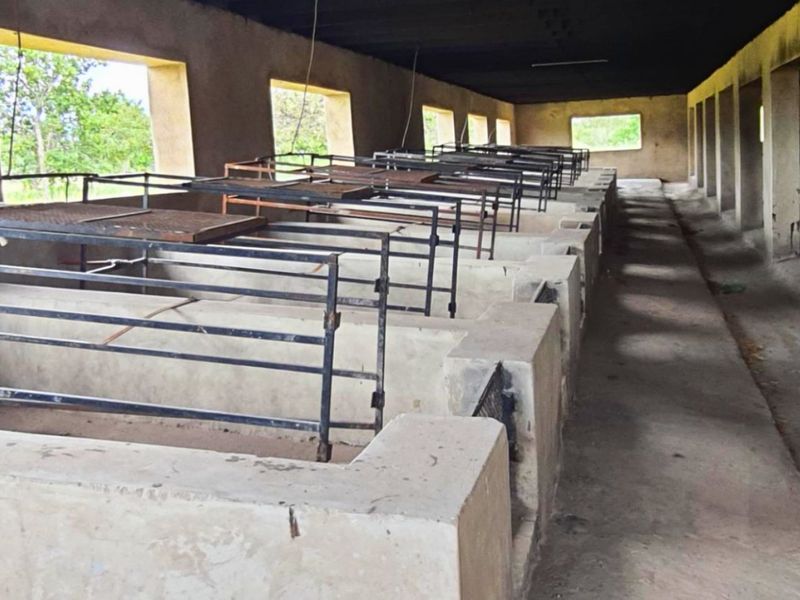 8.5ha Farm with Large-Scale Piggery - Photo 4