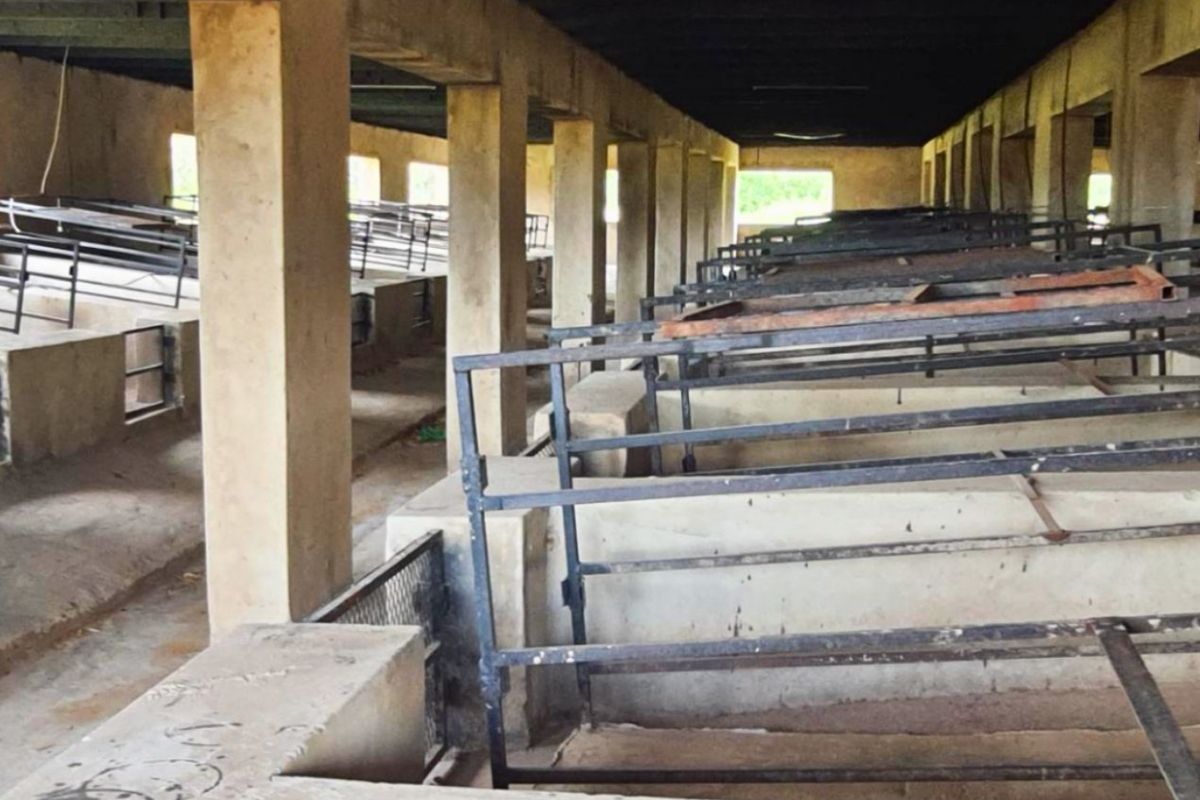 8.5ha Farm with Large-Scale Piggery - Photo 5