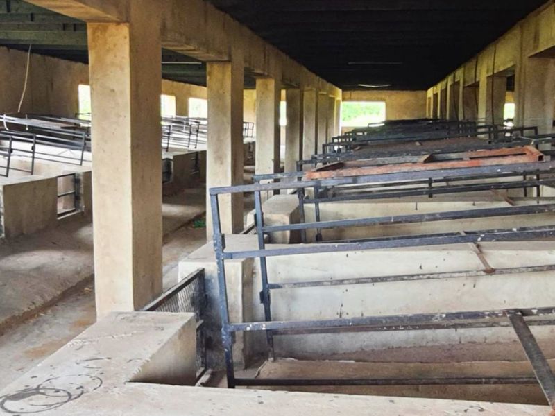 8.5ha Farm with Large-Scale Piggery - Photo 5