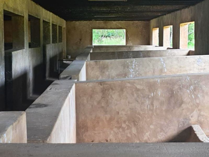 8.5ha Farm with Large-Scale Piggery - Photo 6