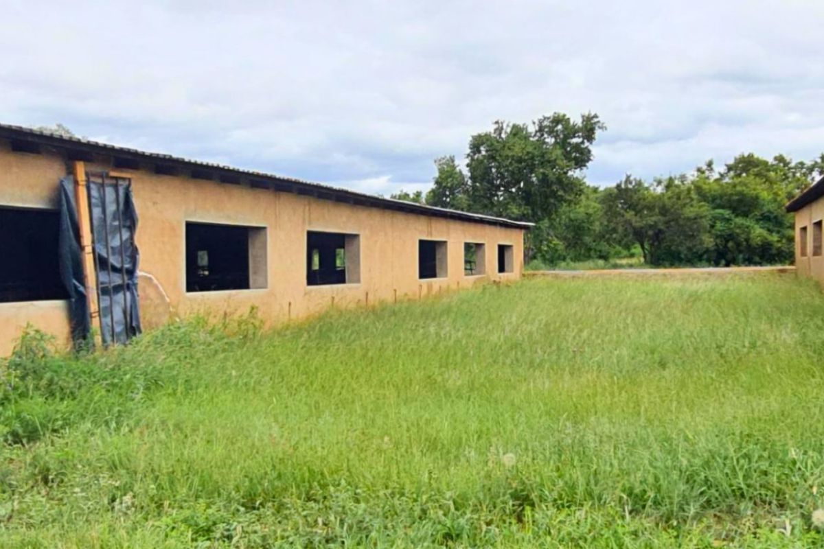 Exterior view of a farm building structure featuring plastered masonry walls and open window apertures, set within an overgrown grassy area.