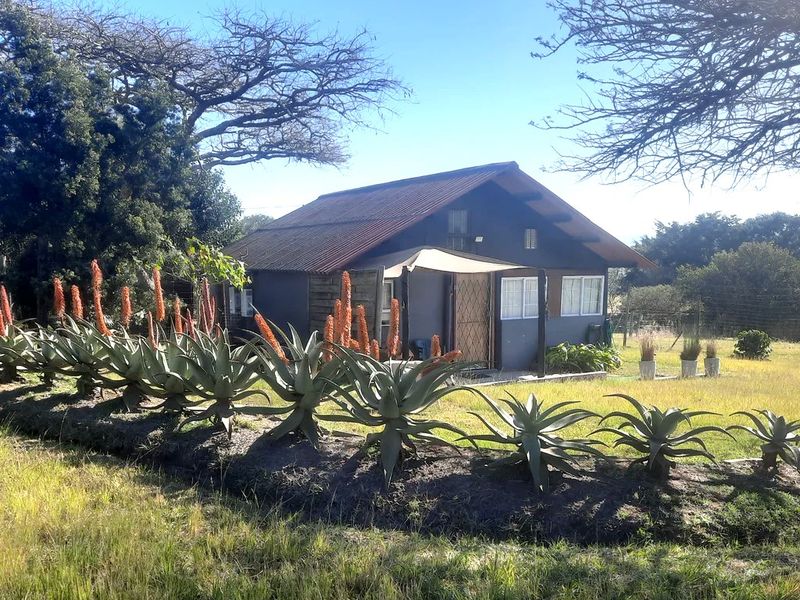 Fully Furnished & Equipped Studio Apartment – Camperdown, KZN - Photo 5