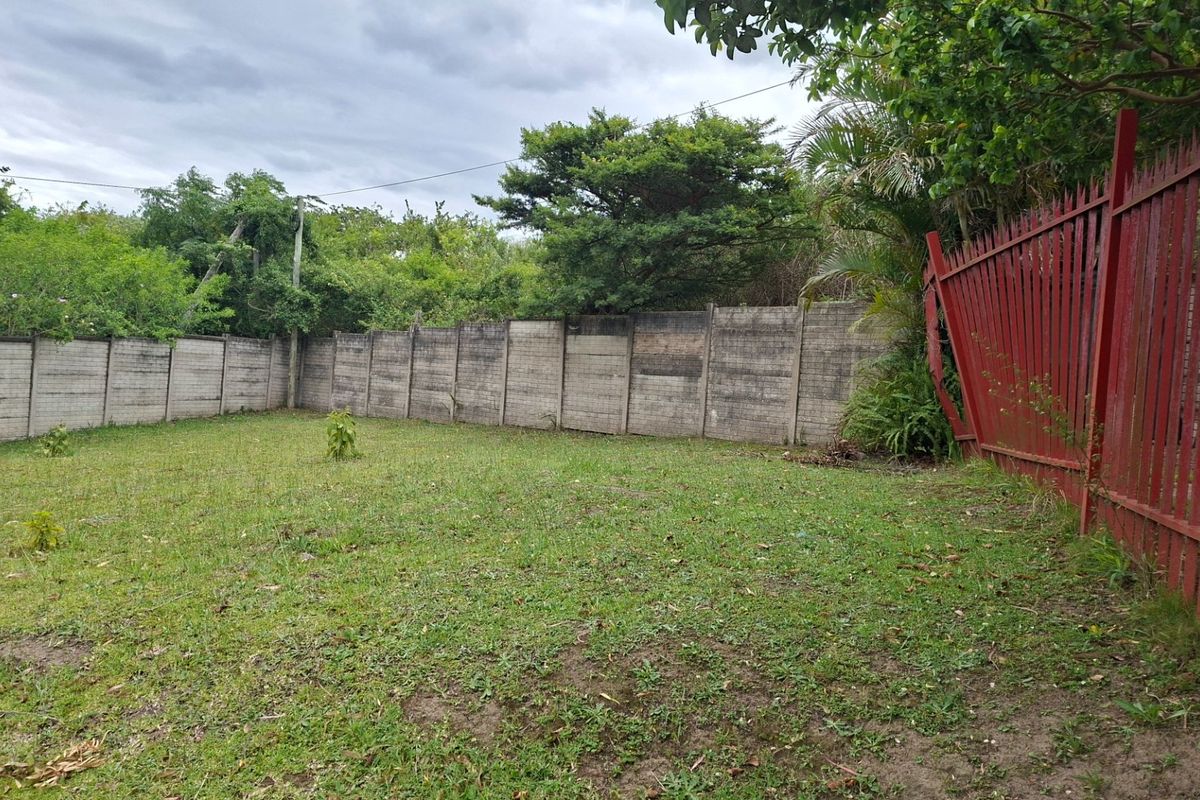 I need some TLC - Photo 5