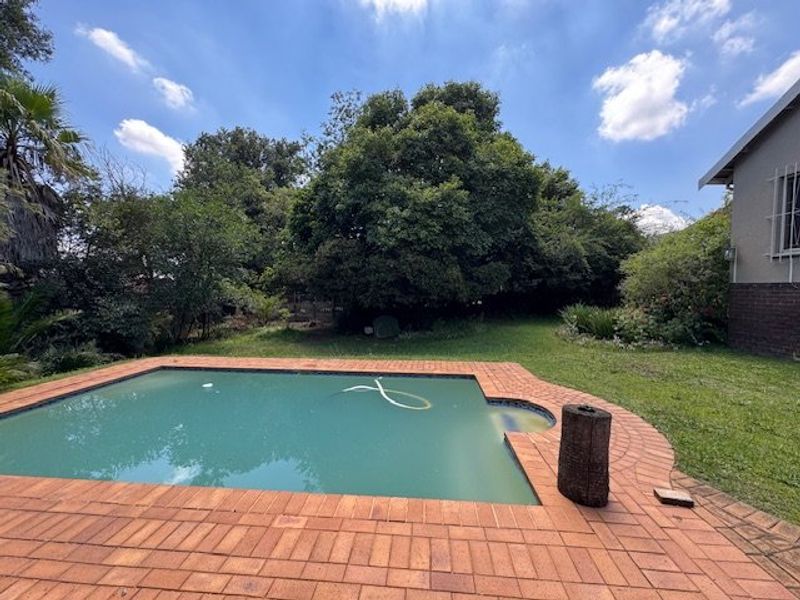 A backyard featuring a swimming pool with brick paving, surrounded by a lawn and mature trees.