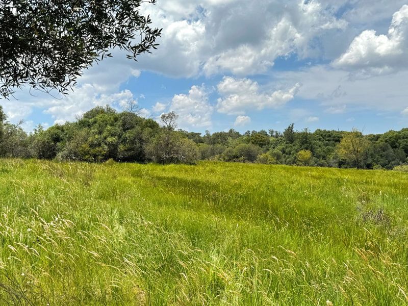 Idillic dream farm with fountains, views and huge 4 bedrooms home - Photo 6