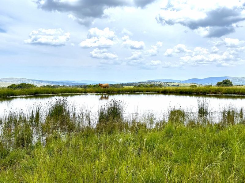 Idillic dream farm with fountains, views and huge 4 bedrooms home - Photo 7