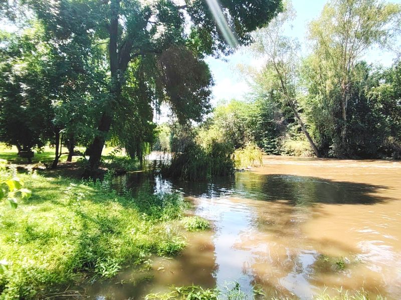 A scenic view of a natural river flowing through a lush, tree-lined landscape on the farm property.