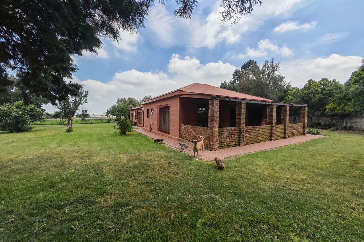 Rear view of a single-story brick house featuring a covered patio area and surrounding garden space.