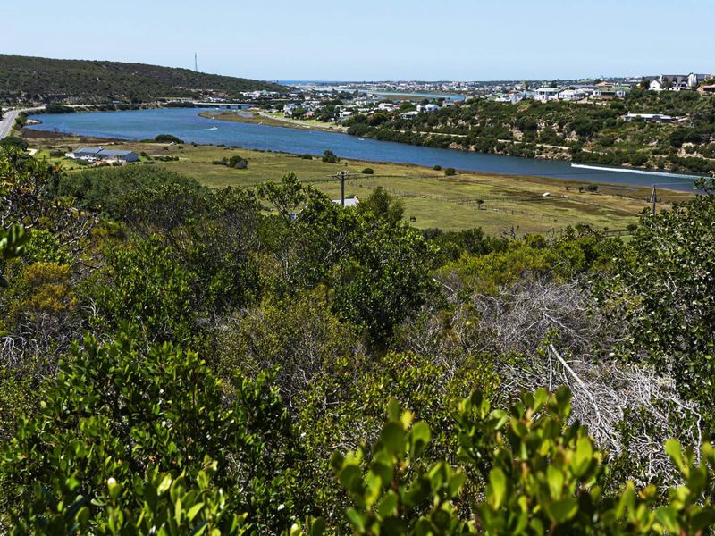 Thornehill Eco Estate  - Photo 8