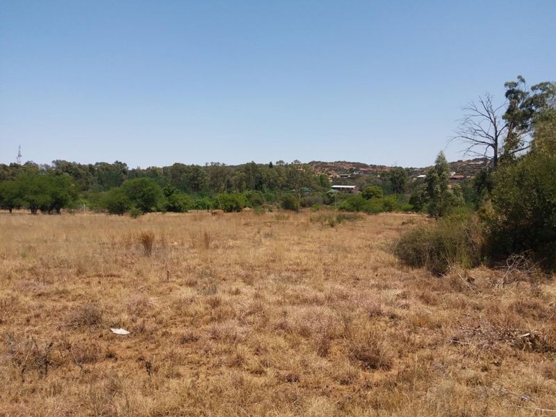 A view of an undeveloped residential plot featuring natural dry grass and surrounding trees.