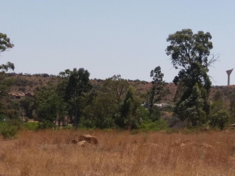 A scenic view of the natural landscape featuring mature trees and native vegetation on the vacant residential land.