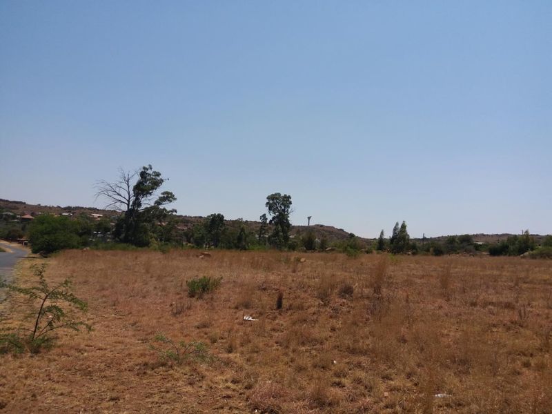 A view of a vacant residential plot featuring natural dry grass and scattered trees under a clear blue sky.