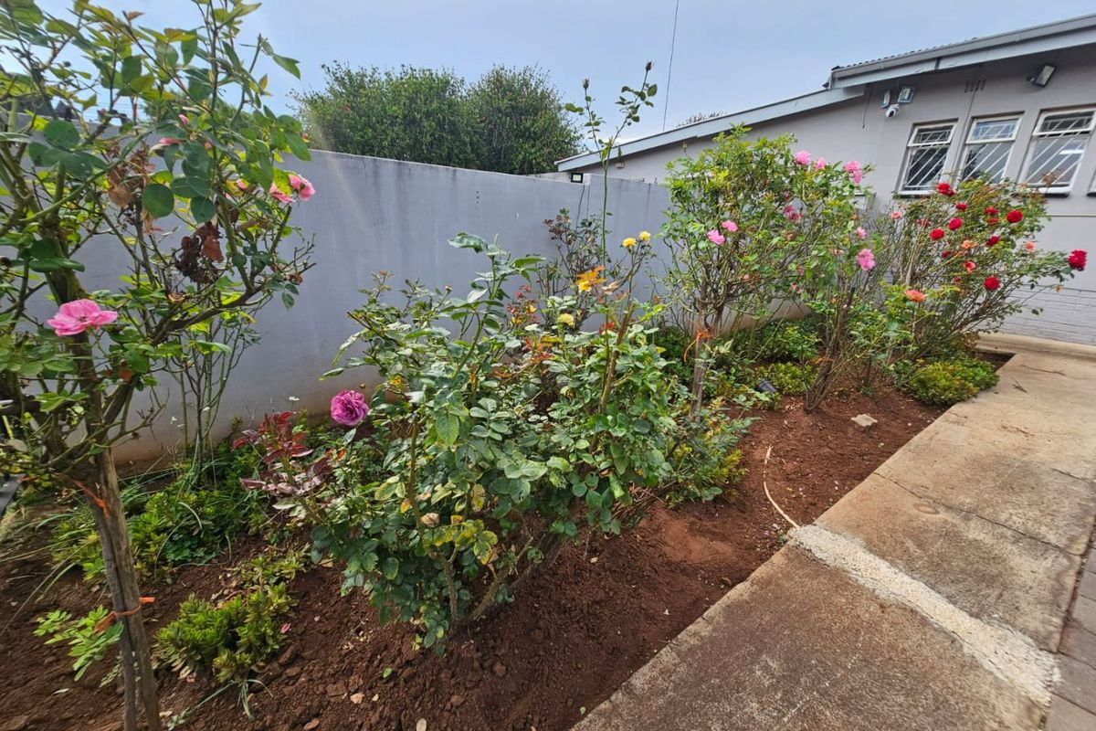 A Lovely 3 bedroom 2 bathroom house for rent in Erasmia - Photo 2