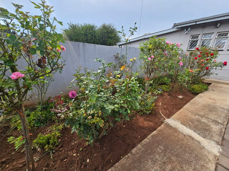 A Lovely 3 bedroom 2 bathroom house for rent in Erasmia - Photo 2