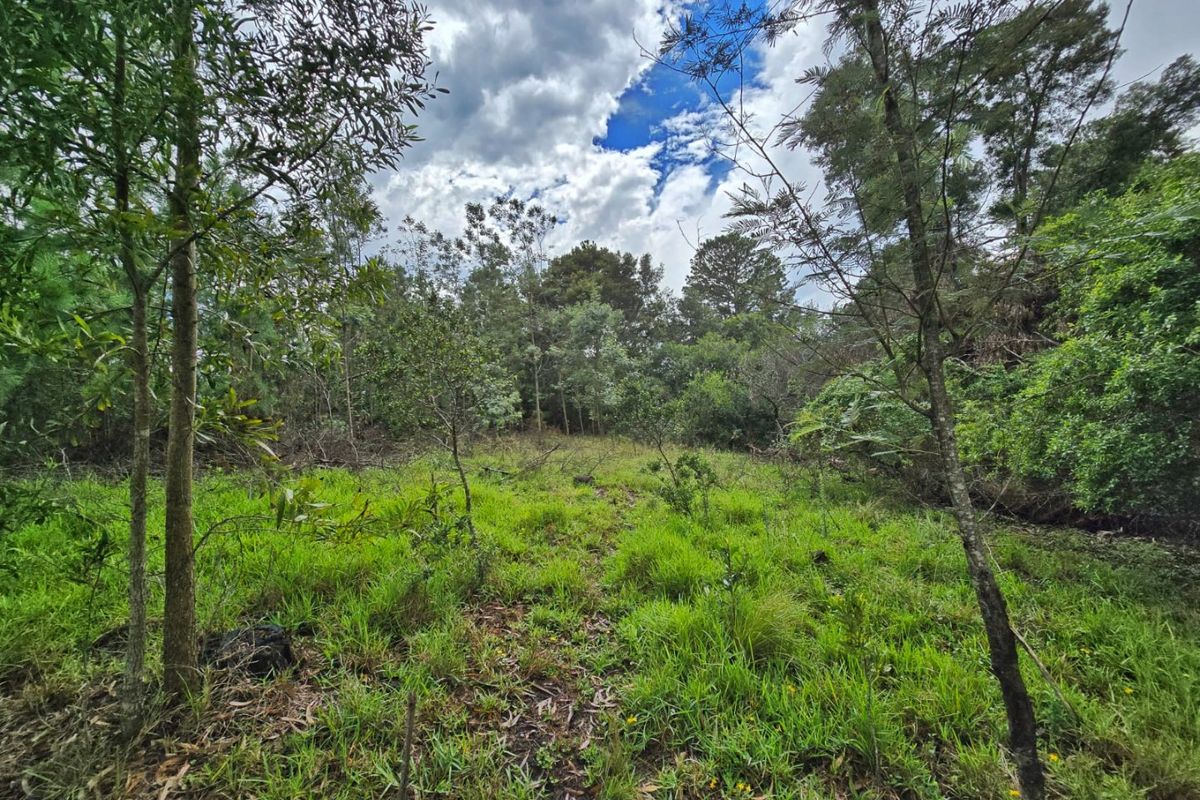Tranquil Vacant Land Offering Space and Privacy in Wilderness Heights - Photo 2