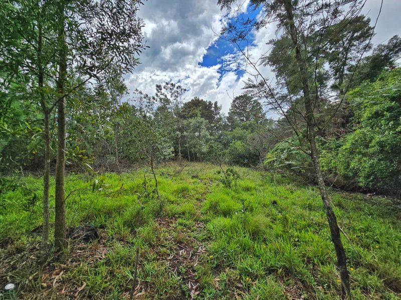Tranquil Vacant Land Offering Space and Privacy in Wilderness Heights - Photo 2