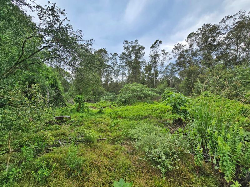 Tranquil Vacant Land Offering Space and Privacy in Wilderness Heights - Photo 5