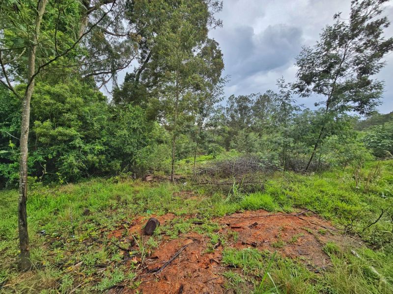 Tranquil Vacant Land Offering Space and Privacy in Wilderness Heights - Photo 10