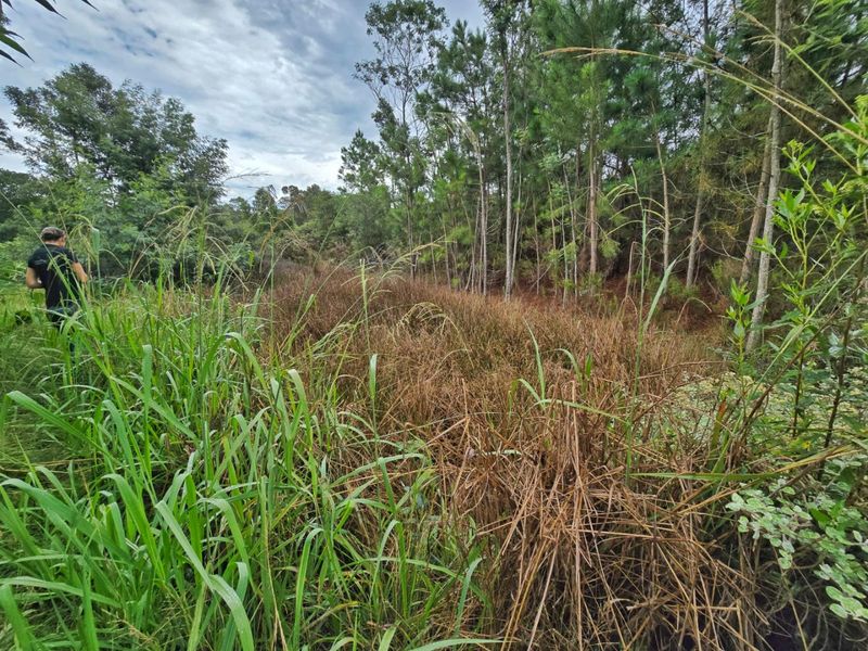 Tranquil Vacant Land Offering Space and Privacy in Wilderness Heights - Photo 8