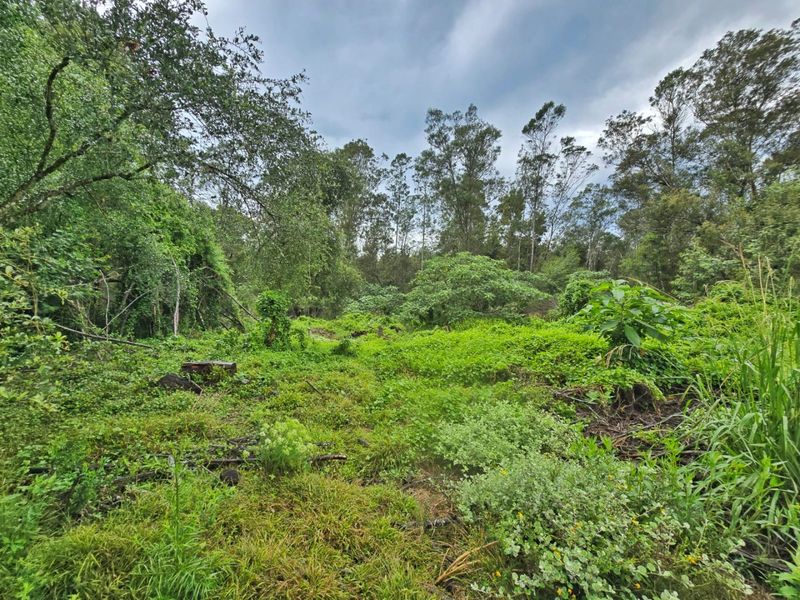 Tranquil Vacant Land Offering Space and Privacy in Wilderness Heights - Photo 7