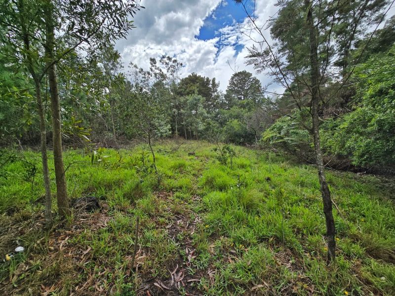 Tranquil Vacant Land Offering Space and Privacy in Wilderness Heights - Photo 9