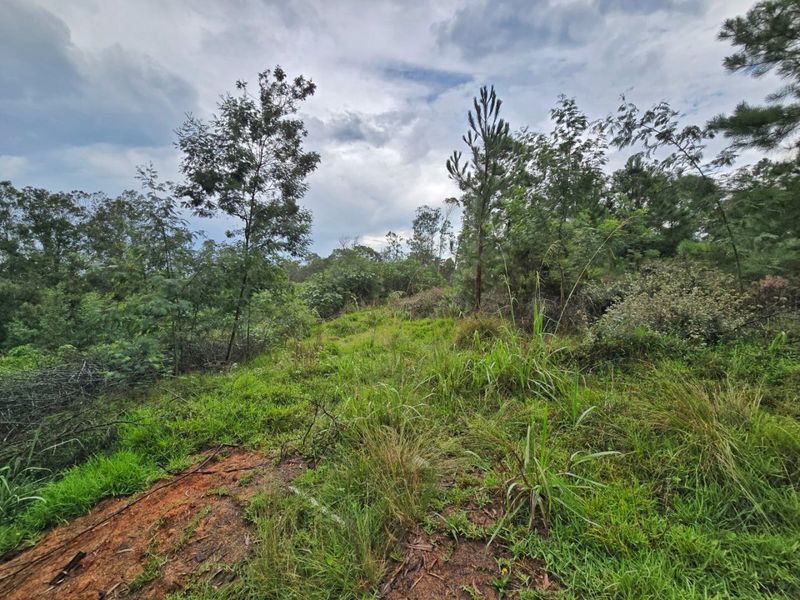 Tranquil Vacant Land Offering Space and Privacy in Wilderness Heights - Photo 6