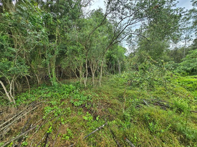 Tranquil Vacant Land Offering Space and Privacy in Wilderness Heights - Photo 4