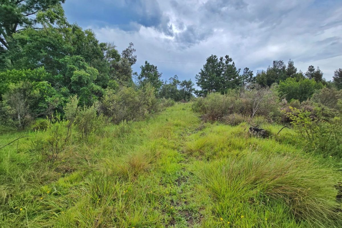 Tranquil Vacant Land Offering Space and Privacy in Wilderness Heights - Photo 3