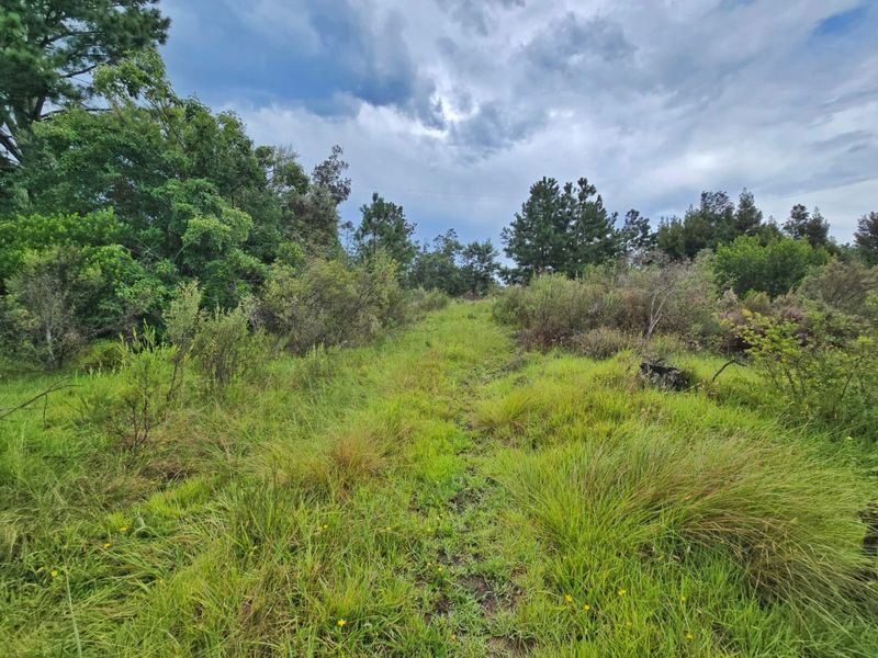 Tranquil Vacant Land Offering Space and Privacy in Wilderness Heights - Photo 3