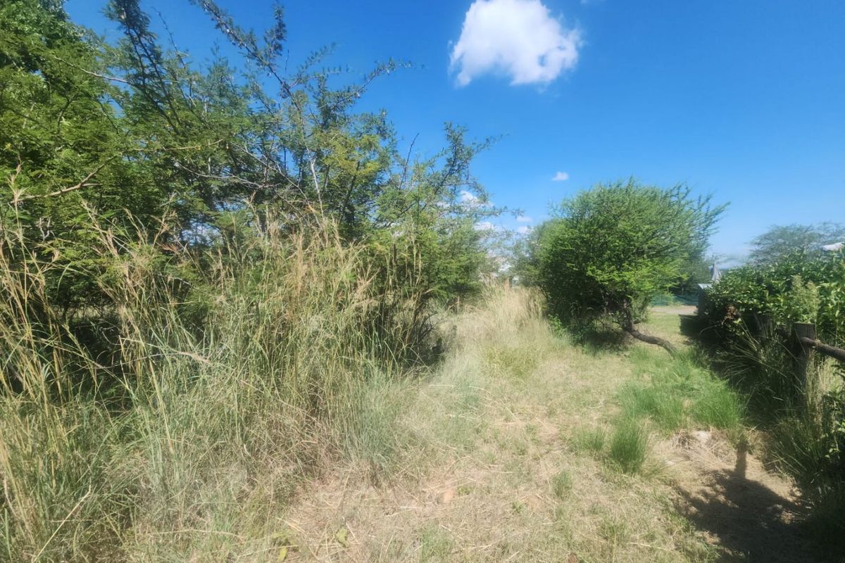 A view of the undeveloped residential land featuring mature trees and natural wild grass coverage.