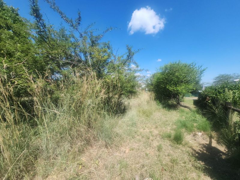 A view of the undeveloped residential land featuring mature trees and natural wild grass coverage.