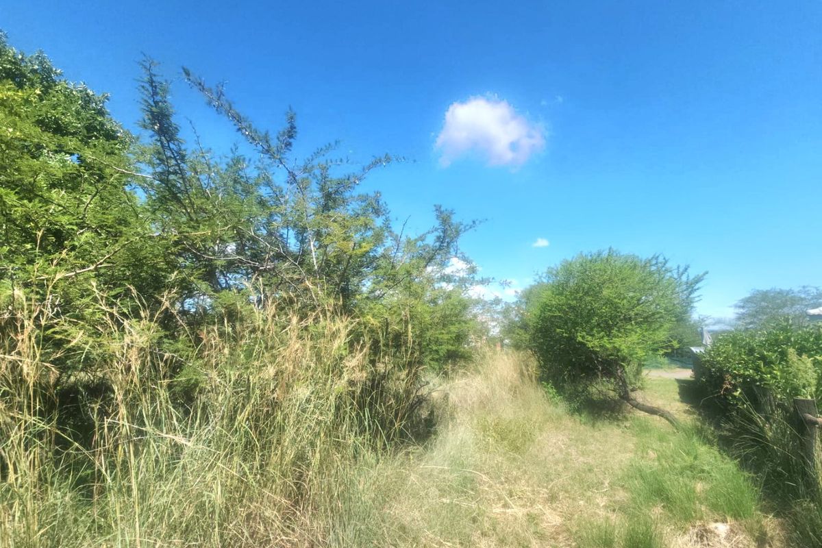 A view of the vacant residential land featuring natural vegetation and established shrubs under a clear blue sky.