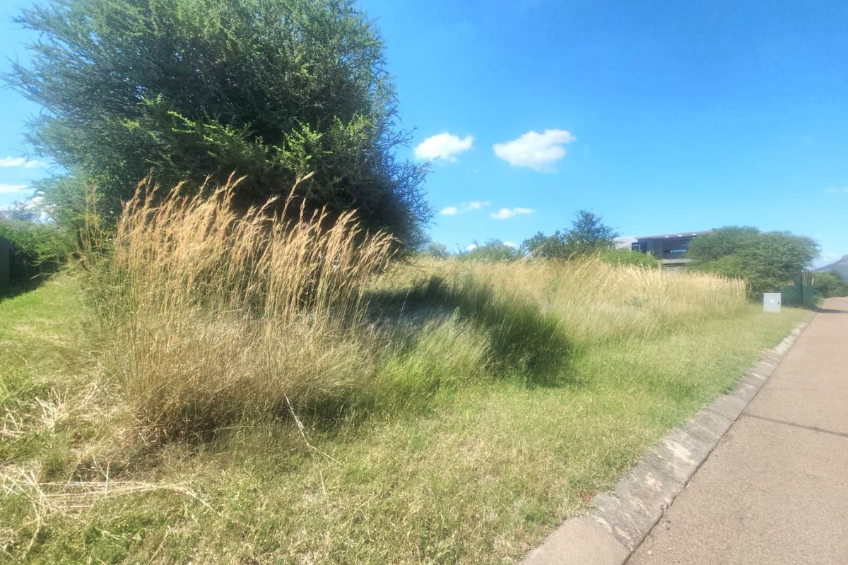 A street-level view of a vacant residential plot featuring natural grassland, mature trees, and adjacent paved road access.