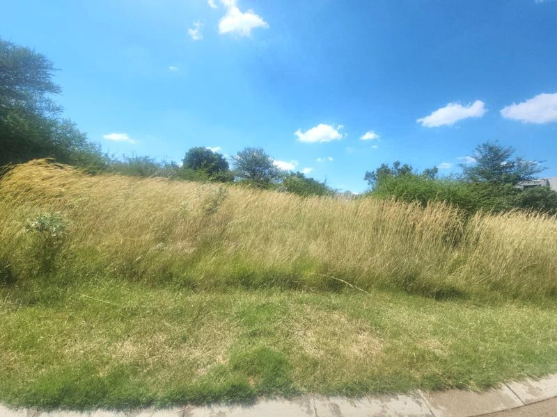 A view of a vacant residential plot featuring overgrown grass and natural vegetation, ready for development.