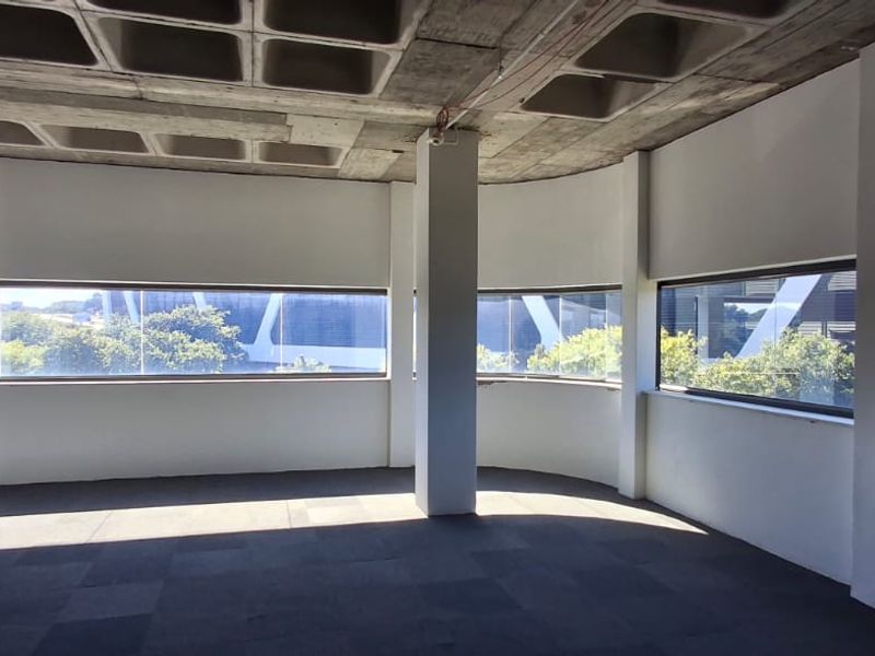 **Premium Secure Offices with Backup Power / Water in Irene | Direct Landlord Opportunity** - Photo 8