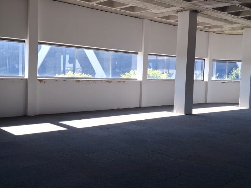 **Premium Secure Offices with Backup Power / Water in Irene | Direct Landlord Opportunity** - Photo 7