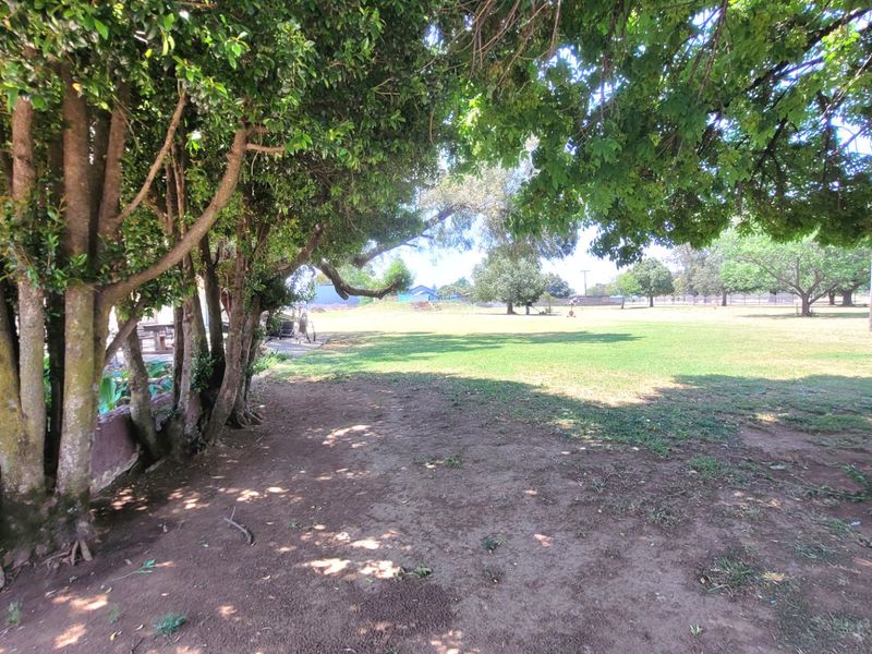 A spacious, open garden area featuring mature trees and established lawn, providing a peaceful outdoor setting on the farm property.