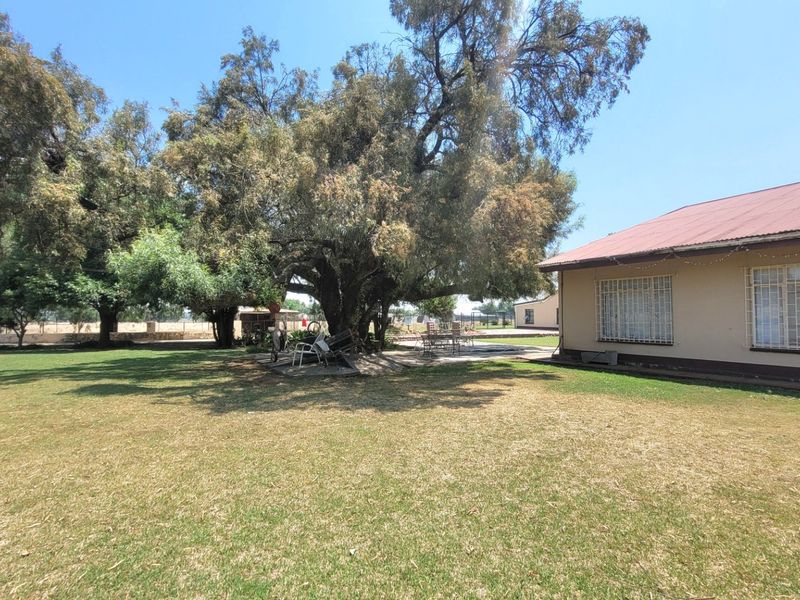 Spacious rear garden area featuring a large mature tree, well-maintained lawn, and the rear elevation of the farmhouse with security-barred windows.