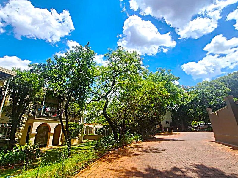 A view of the townhouse complex exterior featuring a paved driveway, mature trees, and residential units with balconies.