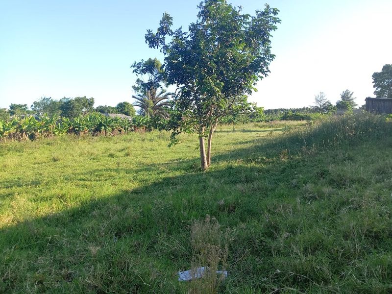 0 Bed Vacant Land in Ongoye, Empangeni Rural for Sale - Photo 6