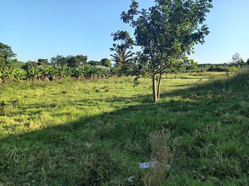 0 Bed Vacant Land in Ongoye, Empangeni Rural for Sale - Photo 7