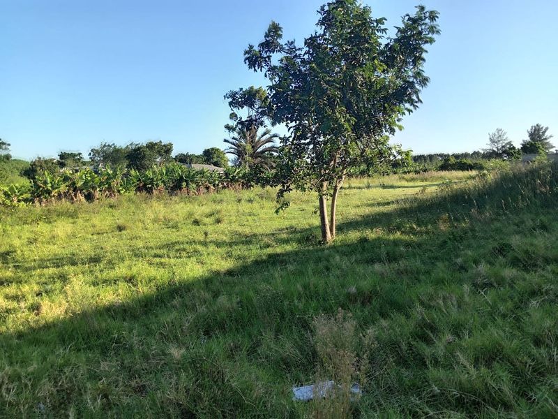 0 Bed Vacant Land in Ongoye, Empangeni Rural for Sale - Photo 5