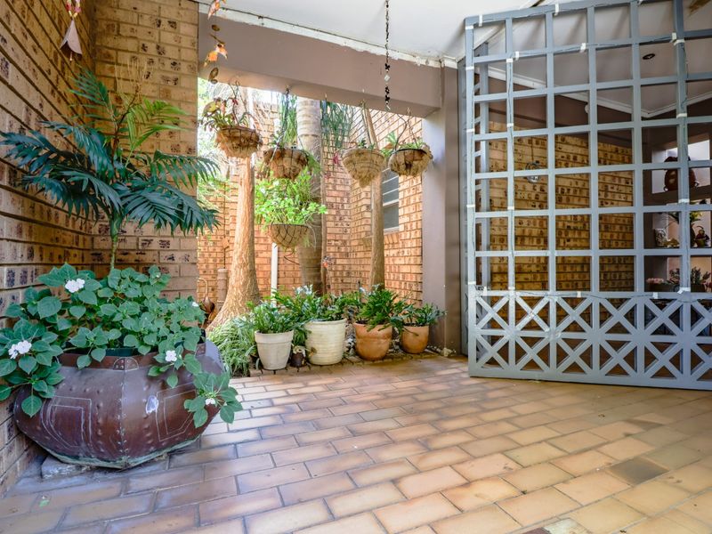 500 sqm Family  Home - Zwartkop x 7 - Photo 3