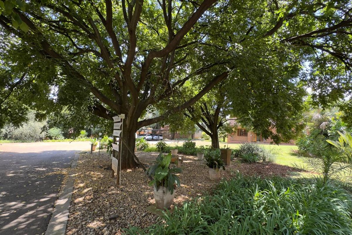 Investor Opportunity Commercial Property Die Hoewes - Photo 5