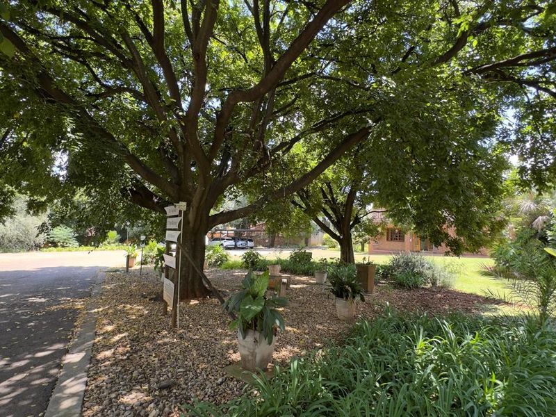 Investor Opportunity Commercial Property Die Hoewes - Photo 5